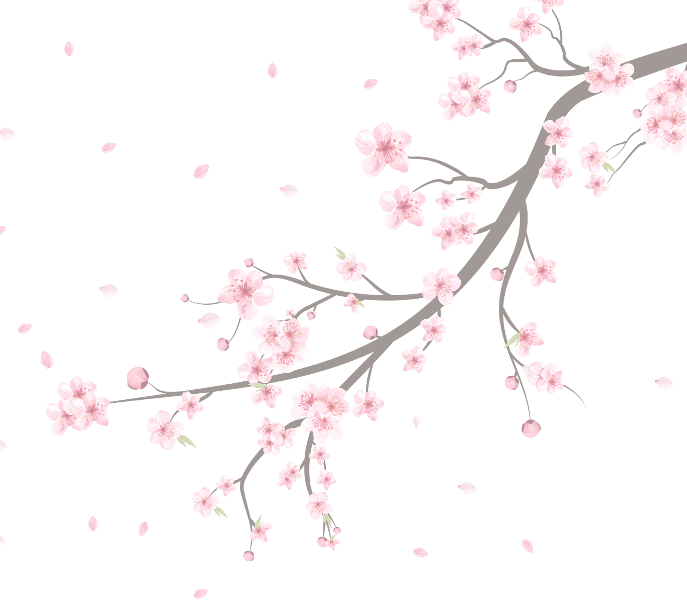 belleza coreana 1 (8)
